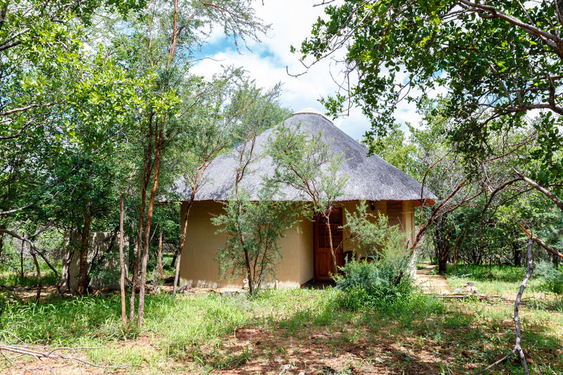 Shikwari Game Reserve Hoedspruit Kültér fotó